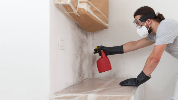 Professional Bathroom Mold Removal technician working in Mineola, NY