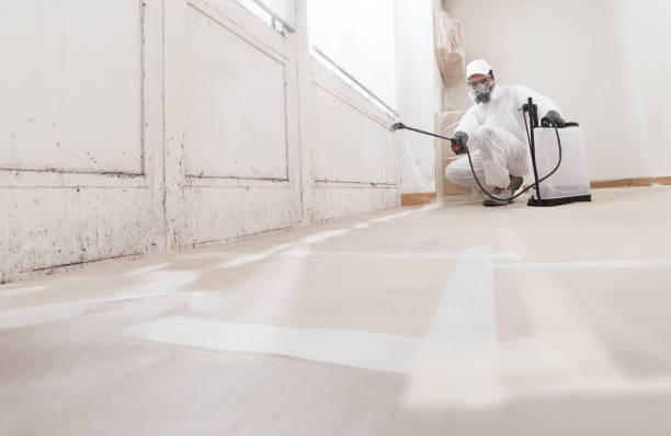 24/7 Emergency Bathroom Mold Removal experts in Mineola, NY